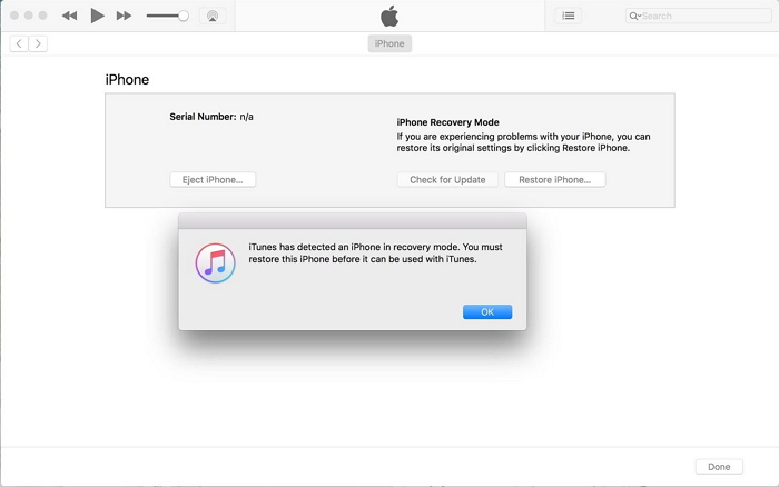 when i try to authorize my iphone the itunes logo pops up