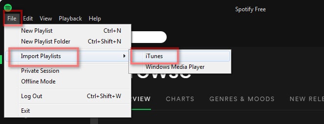 can you use itunes for spotify premium