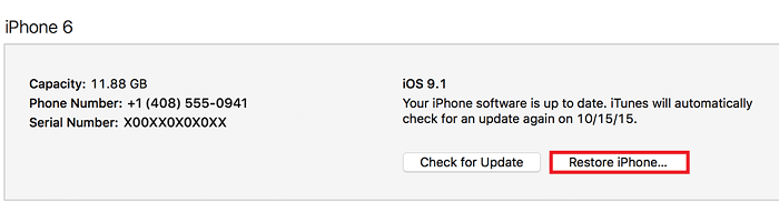 Look Here To Check What Does Restore IPhone Mean